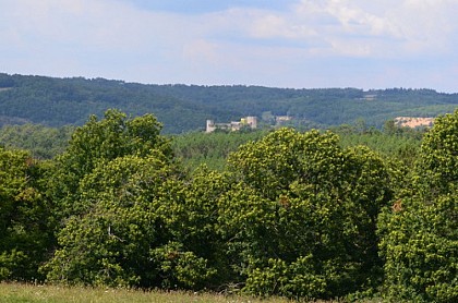 Point de vue de Ciret
