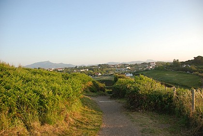 Colline de Cenitz