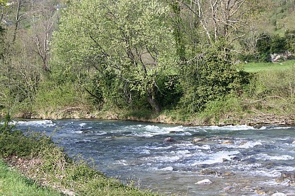 Gave d'Ossau