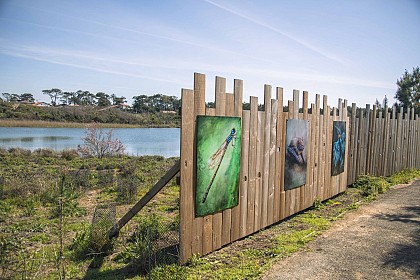 Parc écologique d'Izadia