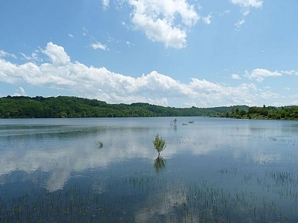 Lac de Bassillon-Vauzé