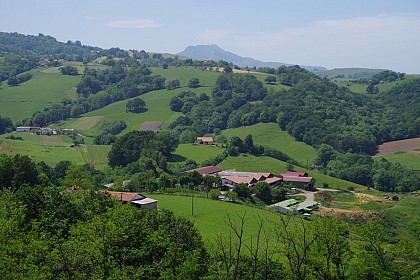 Le quartier Basaburu