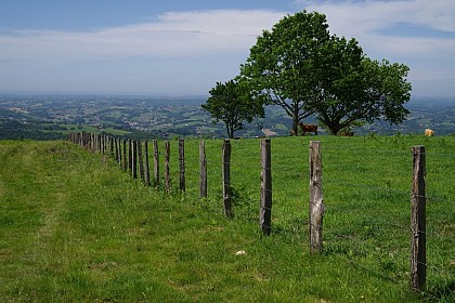 L'enclos d'Ezkandrai