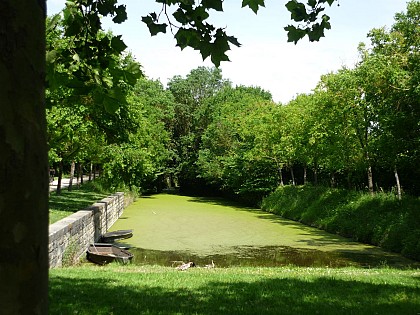 Saint-Georges-de-Rex et son marais préservé