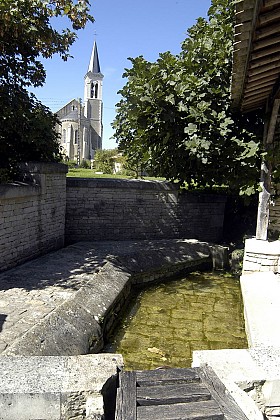 Saint-Georges-de-Rex et son marais préservé