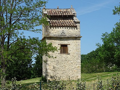 Pigeonnier "pied de mulet" au Colombier