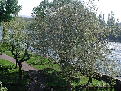 CAMPING MUNICIPAL DU PARC NAPOLÉON