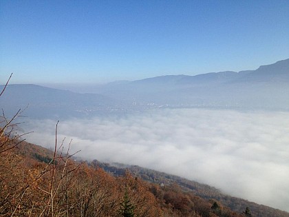 Pierre Nioule Lookout