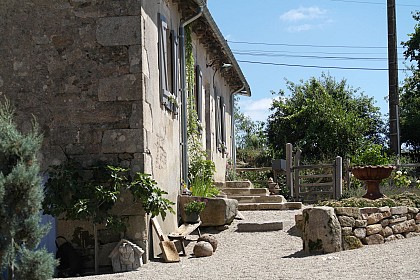 La petite chouette