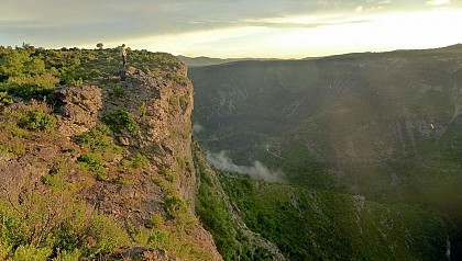 Mas de l'Elze