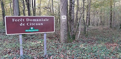 Forêt domaniale de Citeaux