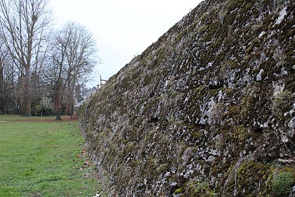 Ancien étang de Verdes