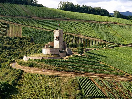 LE CHÂTEAU DU WINECK