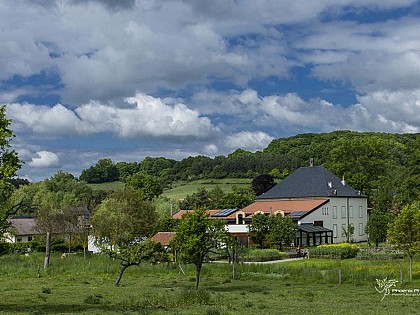 Buding's oil mill