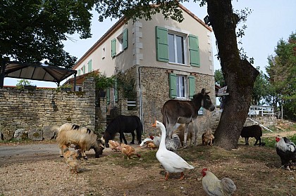 La Ferme Auberge des Vergnes
