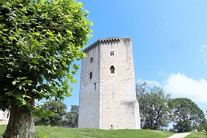 Le Château Moncade