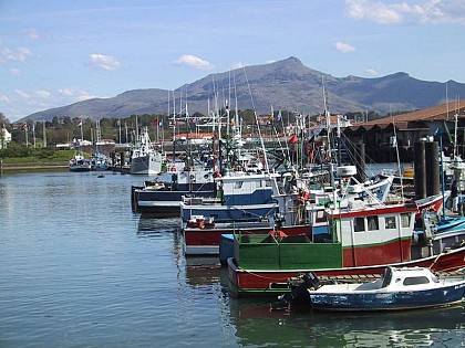 Le Port de Saint Jean de Luz
