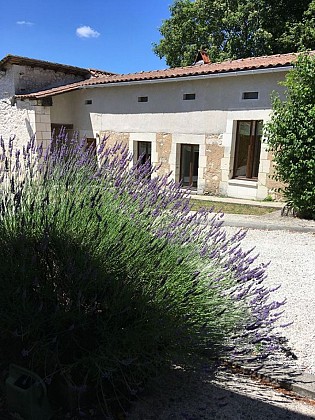Gîte Le Papillon