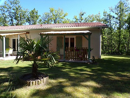 L'azalée