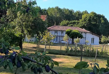 Ferme Landaise