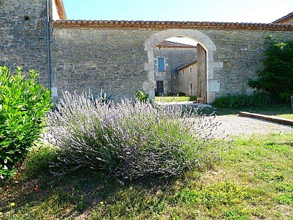 Canel - l'Ecurie