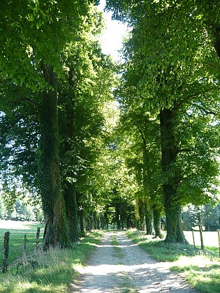 Park of Soult Berg Castle