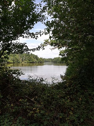 La ceinture d’étang du grand moulin