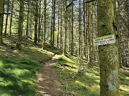 CROSS CROIX DE COUARD