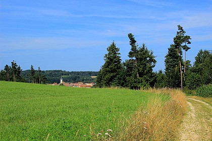 Aire de pique-nique