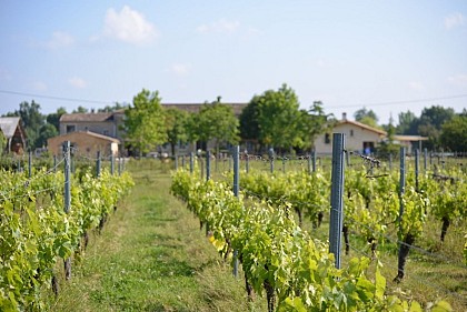 Château de Piote