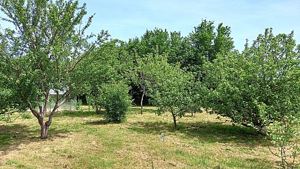 Quelque part sur la terre