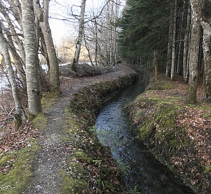 An irrigation canal