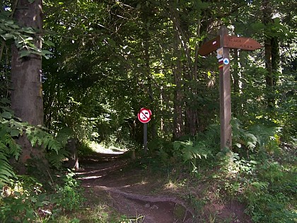 Forêt Domaniale de Valcongrain