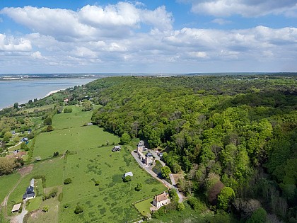 Le bois du Breuil