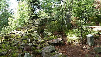 Ruins Castle Petit-Ringelstein