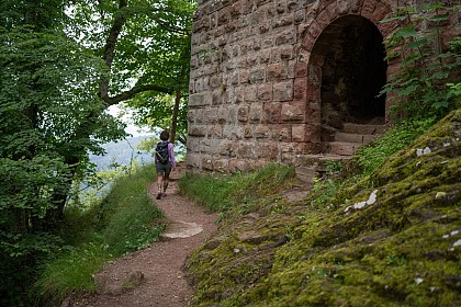 Ruins Castle Nideck