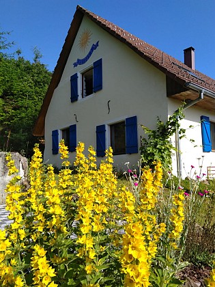 Guest house Vogesenparadies