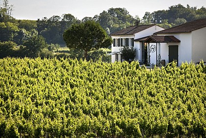 Château George 7
