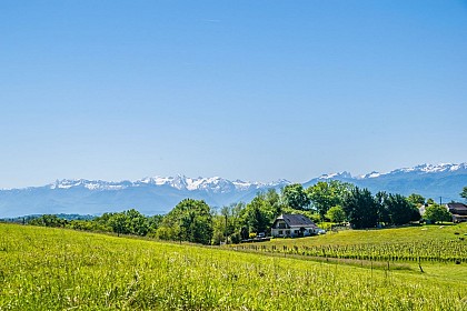 View of the Pyrenees