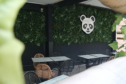 Black Panda