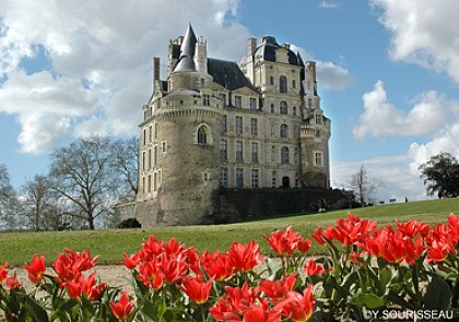 Château de Brissac