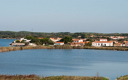 Le Vieux Port