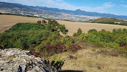 Les coteaux secs de Cournon-d'Auvergne