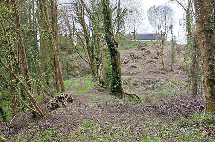 Moulin de Kerprigent - Plounérin