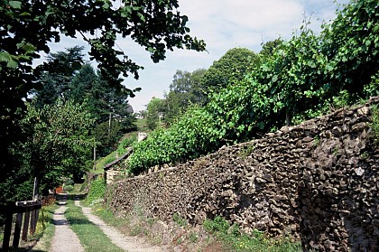 Méjanassère