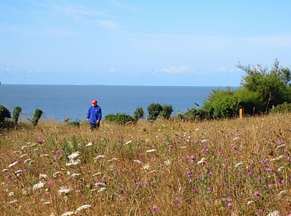 Prairie littorale du Cairn des Grays