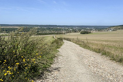 L’élevage de sangliers et de daims, après la Ferme des Vaugosses.