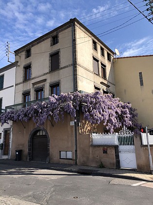 Maison vigneronne - Second model