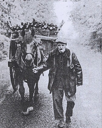 Le charbonnier