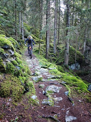 Ambition Outdoor : Randonnées, trekking et VTT(AE) au Pays du Mont-Blanc